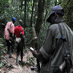 Des rebelles des FDLR (Forces dmocratiques pour la libration du Rwanda) dans la fort de Pingu dans l?Est de la RDC le 06/02/2009