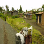 Rfugies au Nord Kivu - Congo