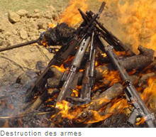 Armes detruites au Congo