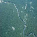Forêt équatoriale du Congo