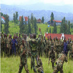 Les rebels du M23 s'entrainent a Rumangabo au Nord-Kivu