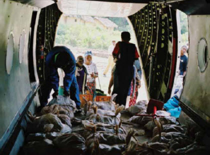 Chargement de sacs de minerai d'étain dans un avion près de Bisié en partance pour Goma