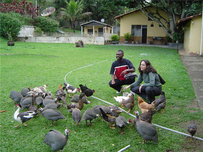 J'adore les contacts avec des jeunes srieux et pleins des visions futures, les hommes daffaires ou des ngoces... Brsil(Rio de Janeiro)